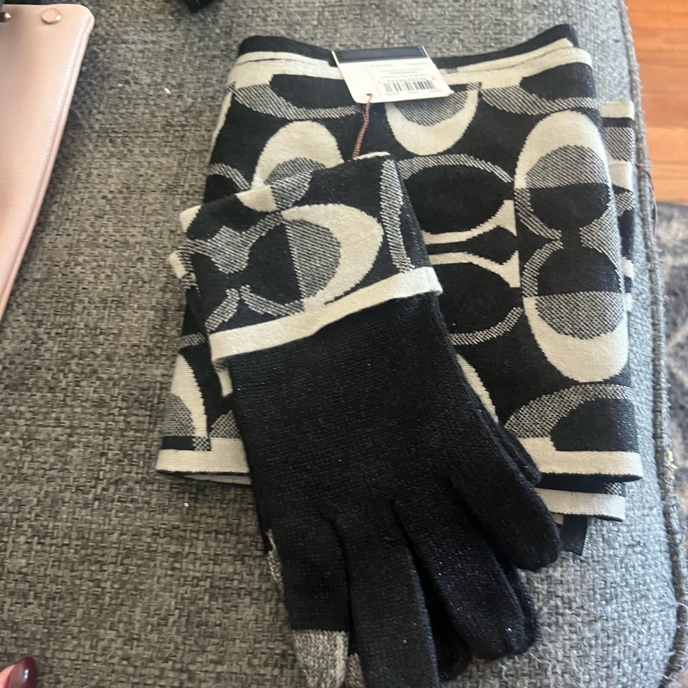 Coach Scarf and Gloves